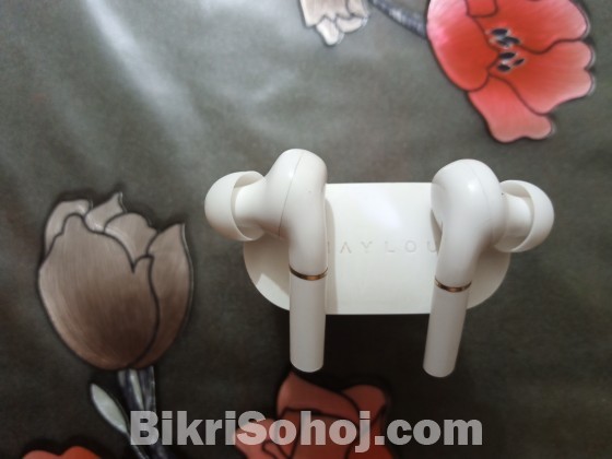 Haylou Bluetooth earphone